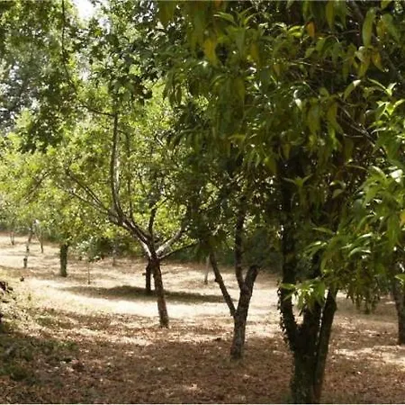 Вилла Amazing Farmhouse With Huge Pool In Geres